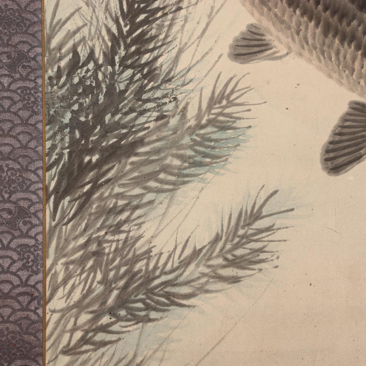 Japanese Kakejiku Scroll Carp Koi Fish Hand Painted Utsumi Kichido w / Box15