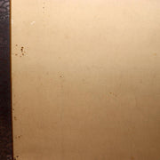 Japanese Kakejiku Scroll Carp Koi Fish Hand Painted Utsumi Kichido w / Box19