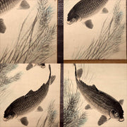 Japanese Kakejiku Scroll Carp Koi Fish Hand Painted Utsumi Kichido w / Box4
