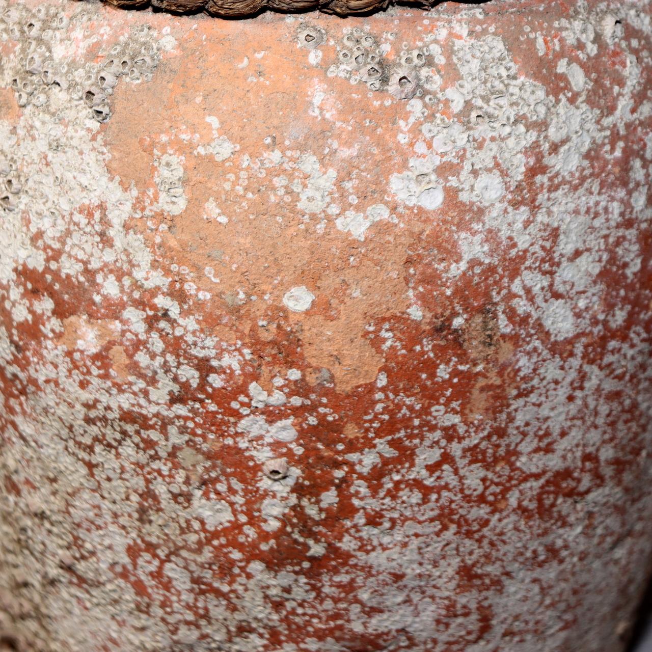 Japanese Antique Takotsubo Octopus Pot Barnacle Rope Kanji Wabi Sabi Vase PV29410