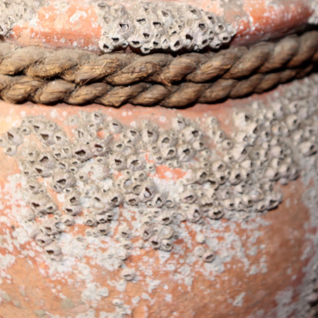 Japanese Antique Takotsubo Octopus Pot Barnacle Rope Kanji Wabi Sabi Vase PV29412