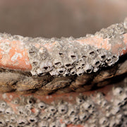 Japanese Antique Takotsubo Octopus Pot Barnacle Rope Kanji Wabi Sabi Vase PV2946