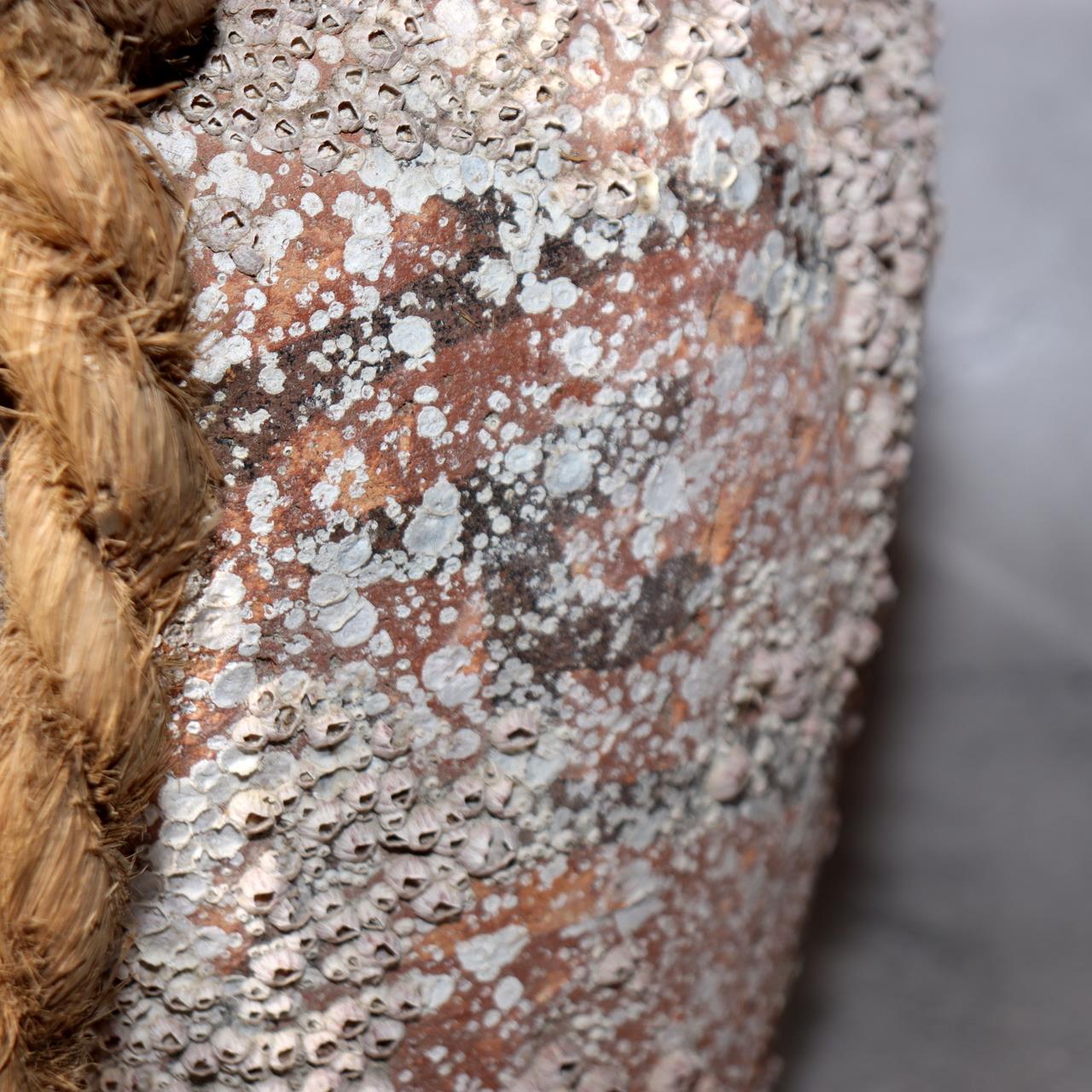 Japanese Antique Takotsubo Octopus Pot Barnacle Rope Wabi Sabi Fishing Jar PV29310