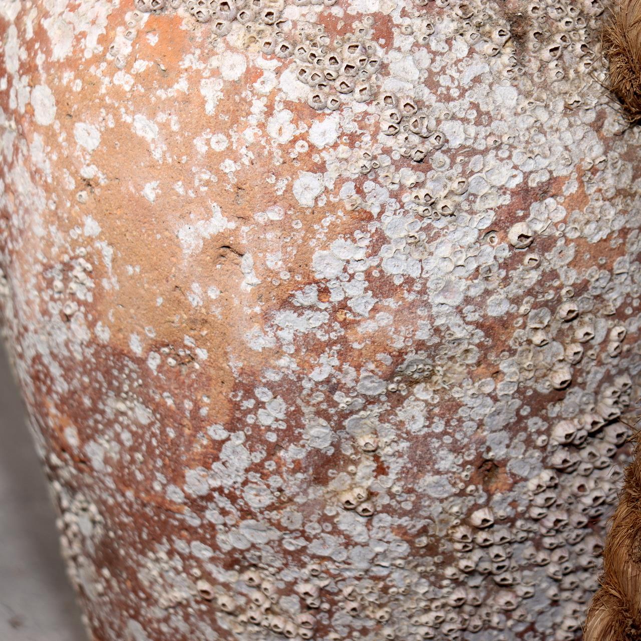 Japanese Antique Takotsubo Octopus Pot Barnacle Rope Wabi Sabi Fishing Jar PV29316