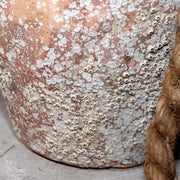 Japanese Antique Takotsubo Octopus Pot Barnacle Rope Wabi Sabi Fishing Jar PV29315