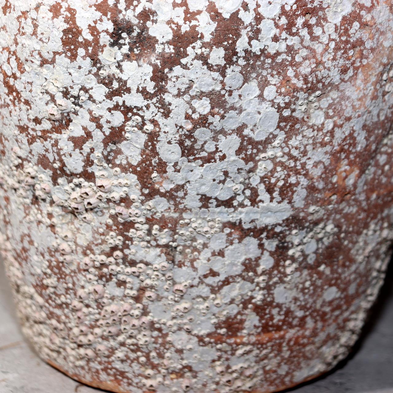 Japanese Antique Takotsubo Octopus Pot Barnacle Rope Wabi Sabi Fishing Jar PV29313