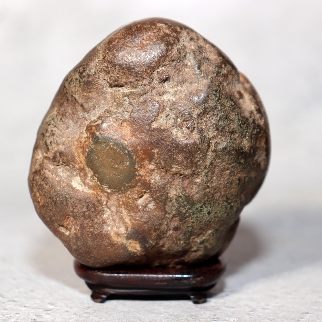 Japanese Suiseki Viewing Stone Collection 5pcs Chrysanthemum Rock Bonsai Zen2