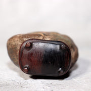 Japanese Suiseki Viewing Stone Collection 5pcs Chrysanthemum Rock Bonsai Zen8