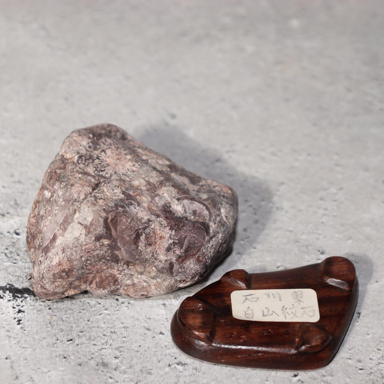 Japanese Suiseki Viewing Stone Collection 5pcs Chrysanthemum Rock Bonsai Zen6