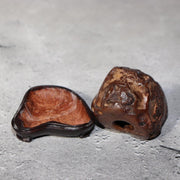 Japanese Suiseki Viewing Stone Collection 5pcs Chrysanthemum Rock Bonsai Zen11