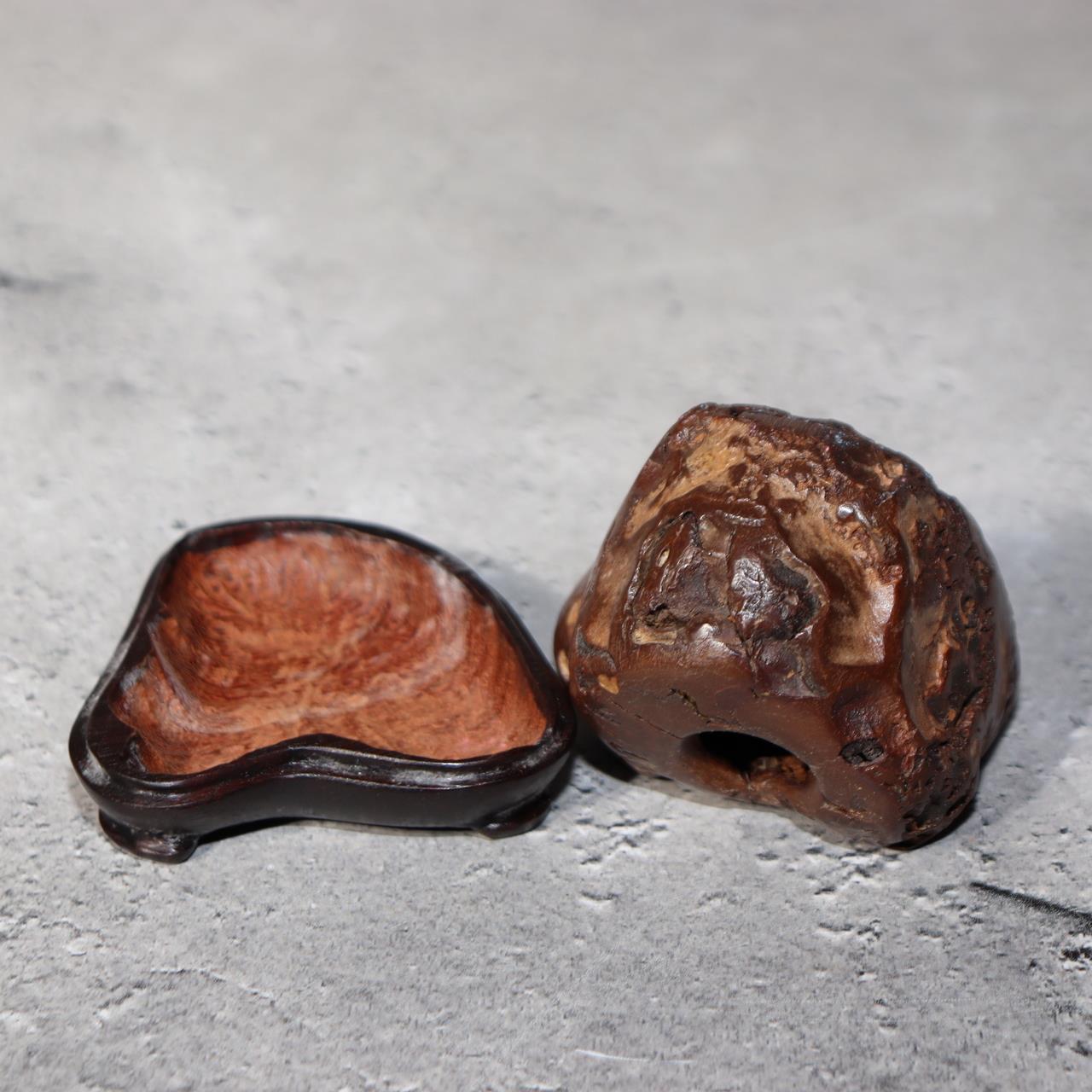 Japanese Suiseki Viewing Stone Collection 5pcs Chrysanthemum Rock Bonsai Zen11