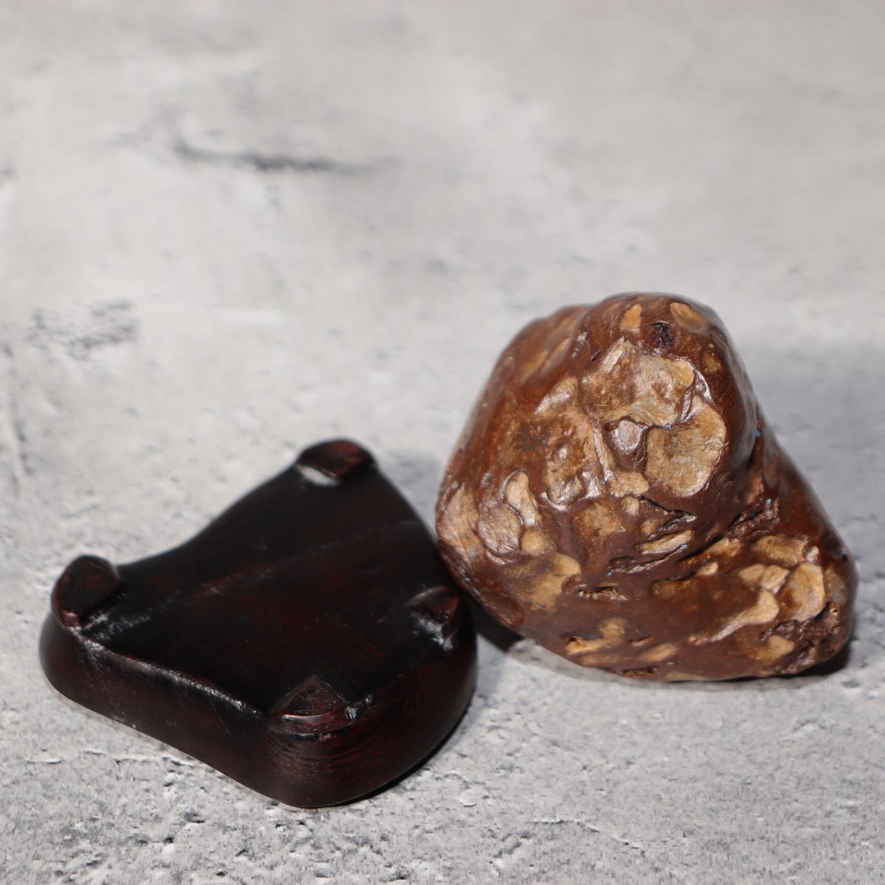 Japanese Suiseki Viewing Stone Collection 5pcs Chrysanthemum Rock Bonsai Zen12