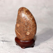 Japanese Suiseki Viewing Stone Collection 5pcs Chrysanthemum Rock Bonsai Zen13