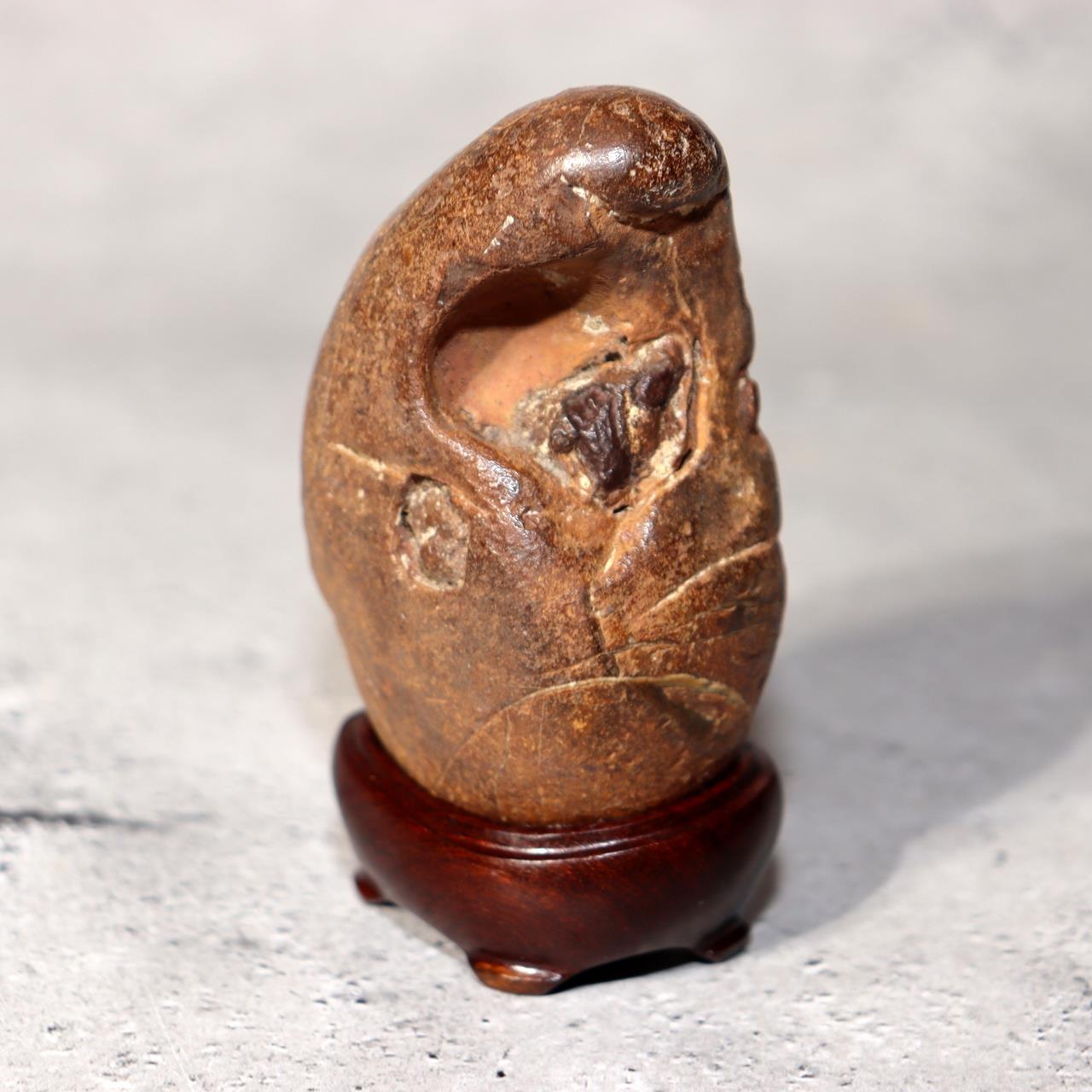 Japanese Suiseki Viewing Stone Collection 5pcs Chrysanthemum Rock Bonsai Zen3