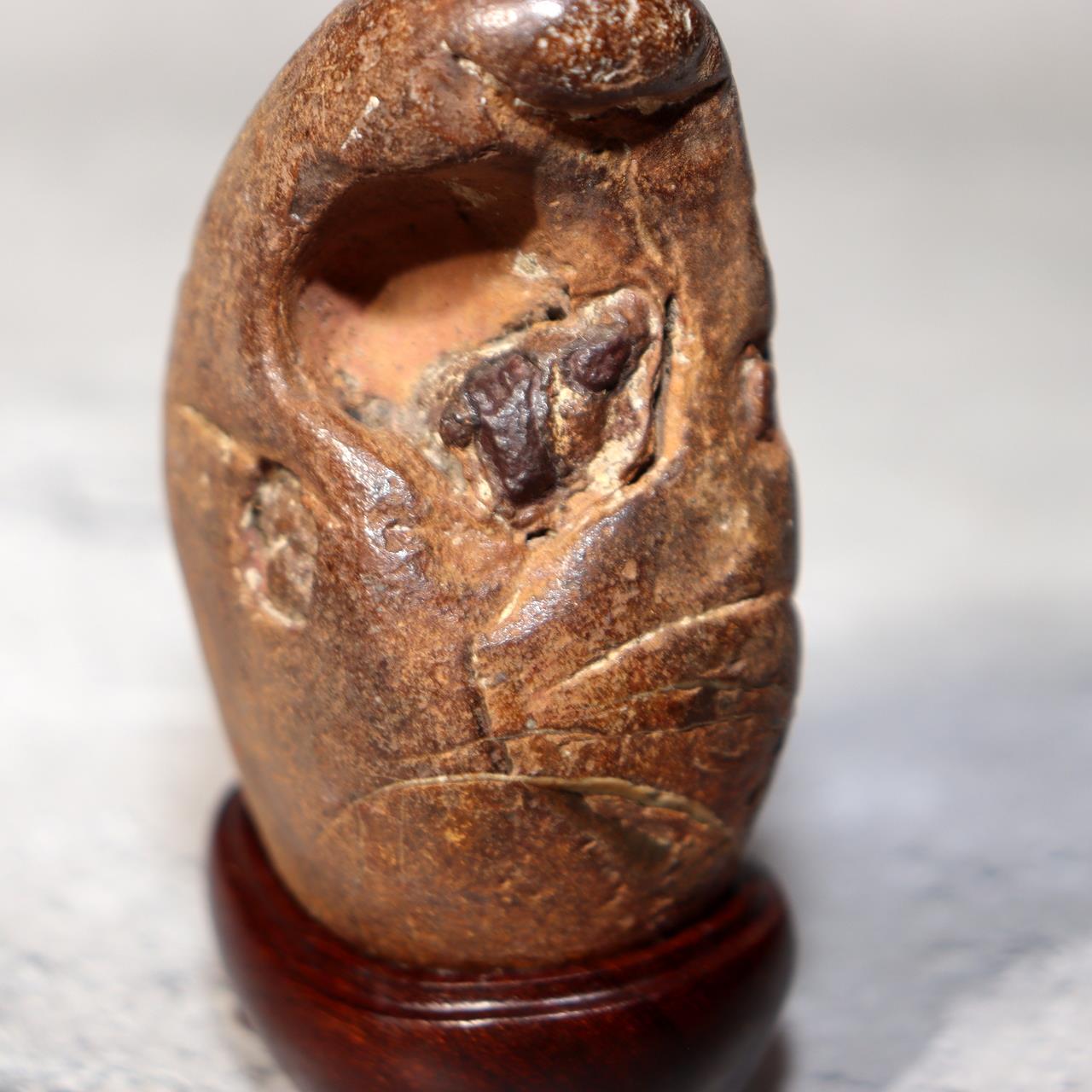 Japanese Suiseki Viewing Stone Collection 5pcs Chrysanthemum Rock Bonsai Zen14