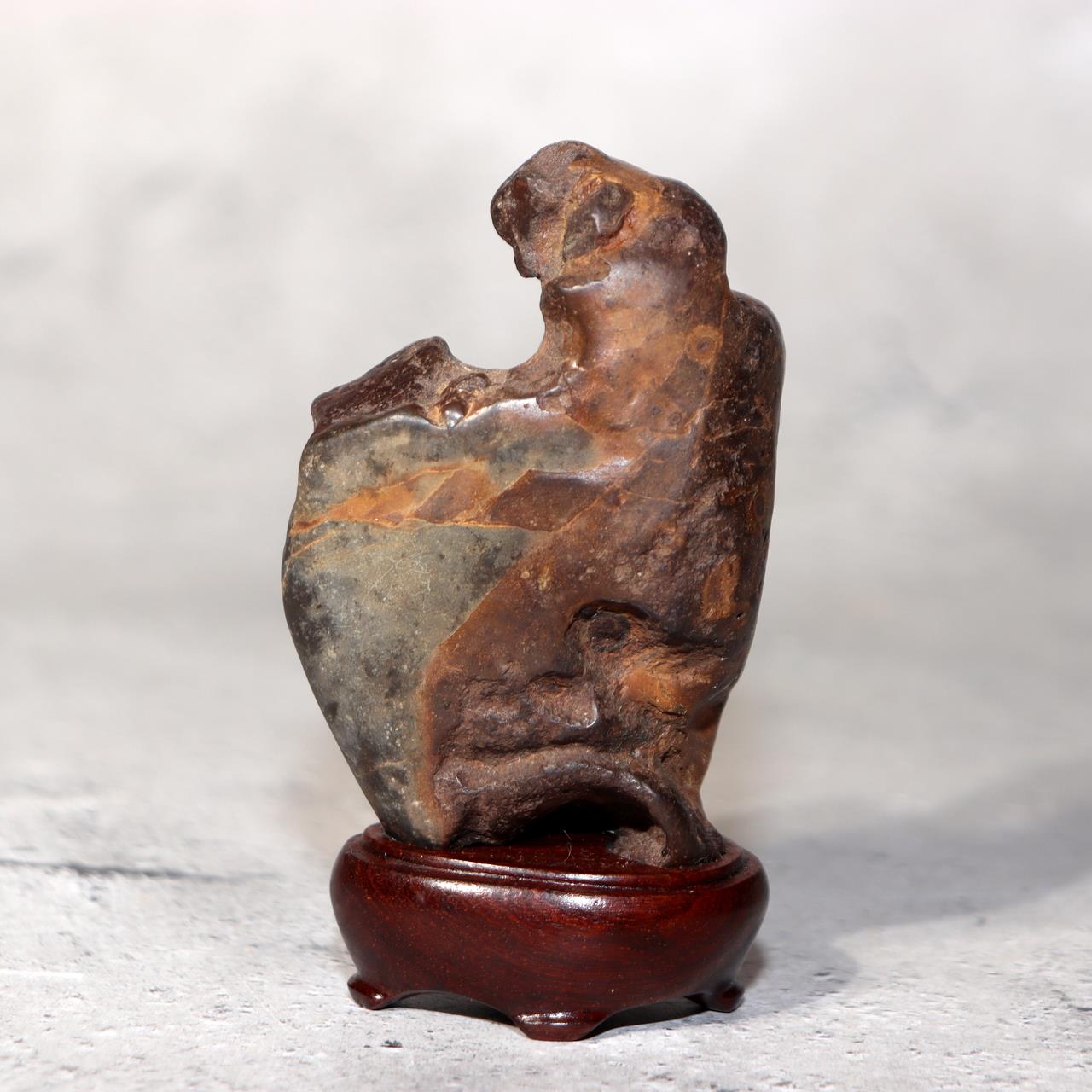 Japanese Suiseki Viewing Stone Collection 5pcs Chrysanthemum Rock Bonsai Zen16