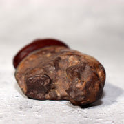 Japanese Suiseki Viewing Stone Collection 5pcs Chrysanthemum Rock Bonsai Zen18