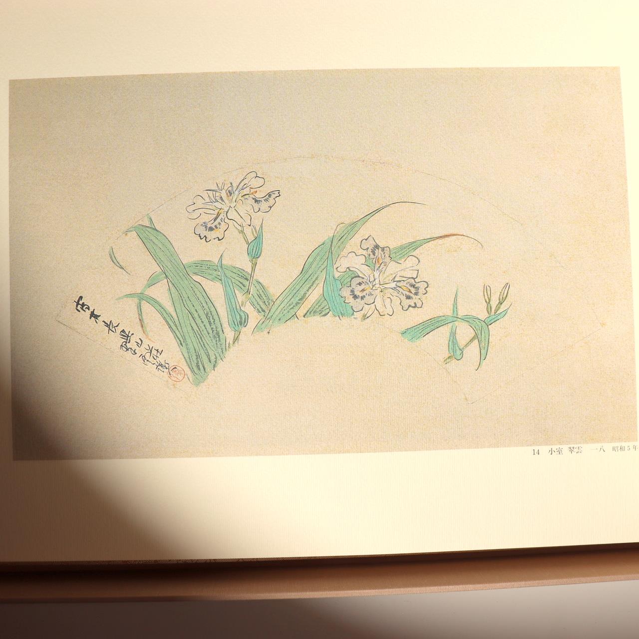 Japanese Art Book Sensu Original Fan Paintings Nihonga 57 Works Takeuchi Seiho12