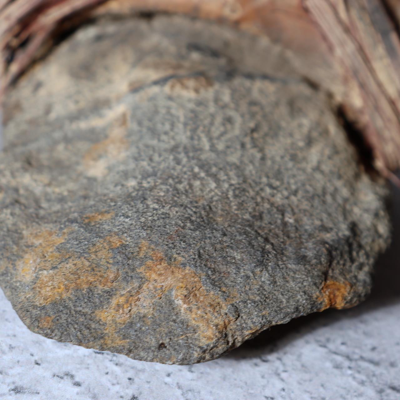 Japanese Jomon Period Stone Axe Head Real Excavated Artifact Modern Handle SS2213