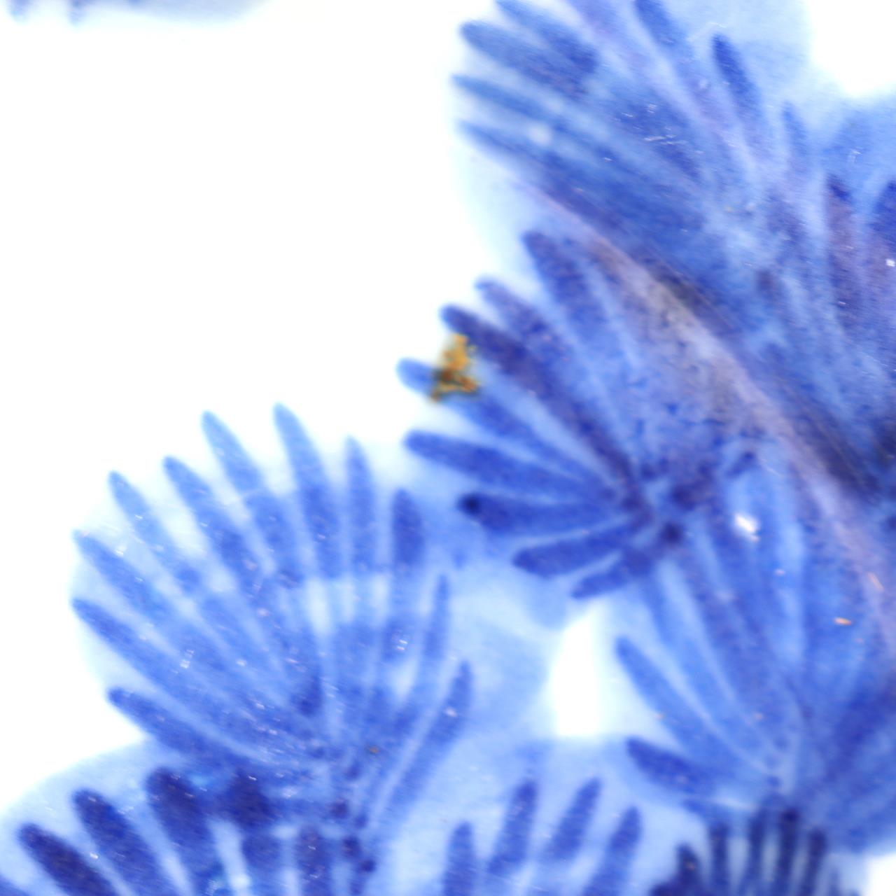 Antique Shida Imari Plate Blue White Kasedori Festival Rabbit Moon Folk Art Rare15