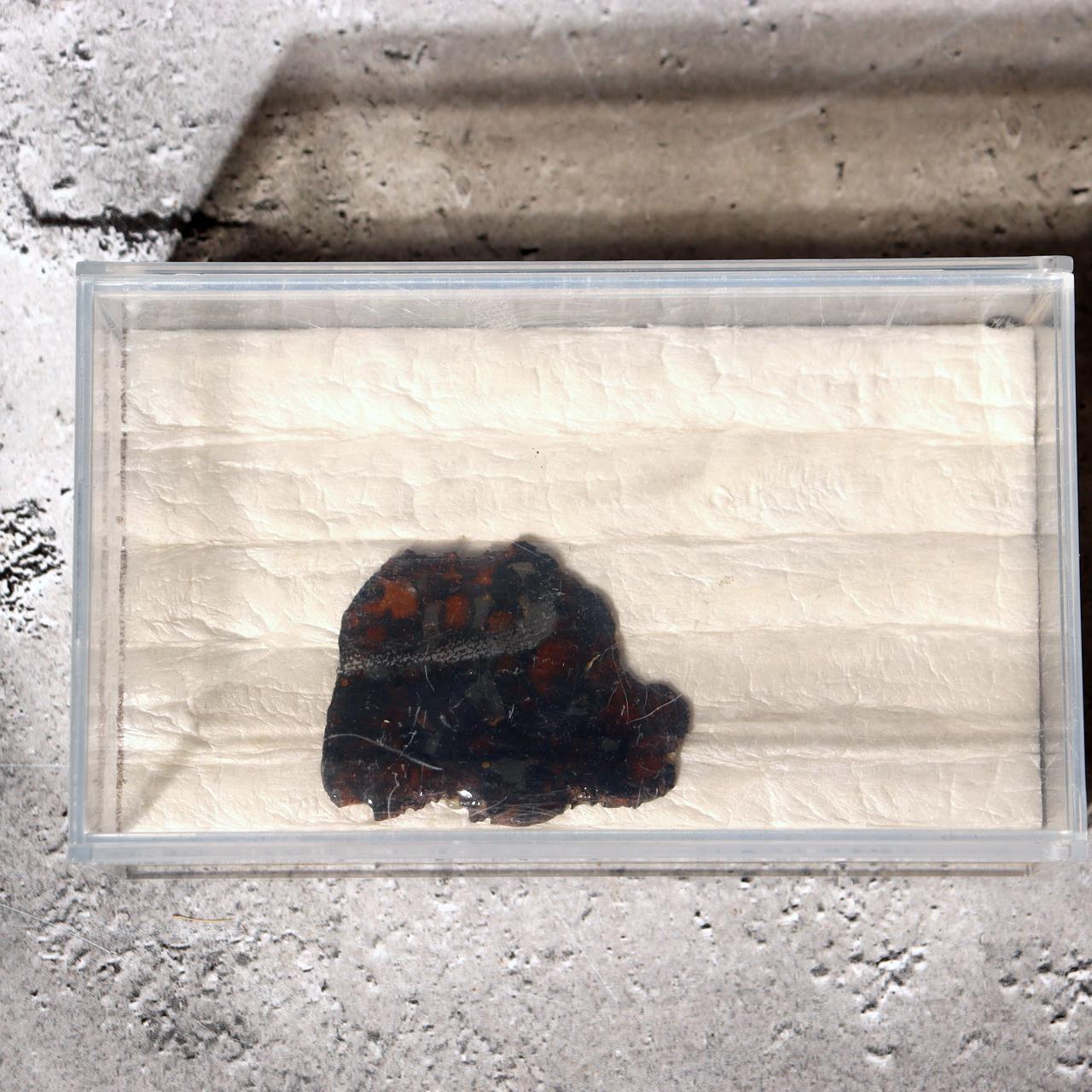 Kenya Sericho Pallasite Meteorite Slice Resin Coated Olivine Space Gem 7g SS2192