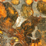 Kenya Sericho Pallasite Meteorite Slice Resin Coated Olivine Space Gem 7g SS2196