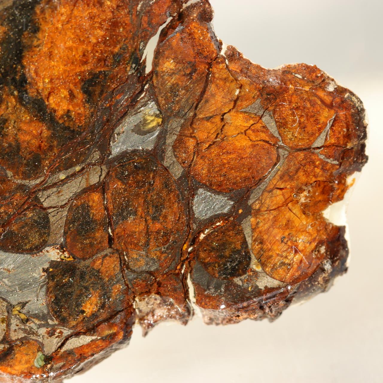 Kenya Sericho Pallasite Meteorite Slice Resin Coated Olivine Space Gem 7g SS2198