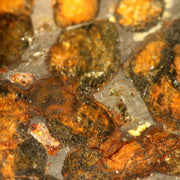 Kenya Sericho Pallasite Meteorite Slice Resin Coated Olivine Space Gem 7g SS2199