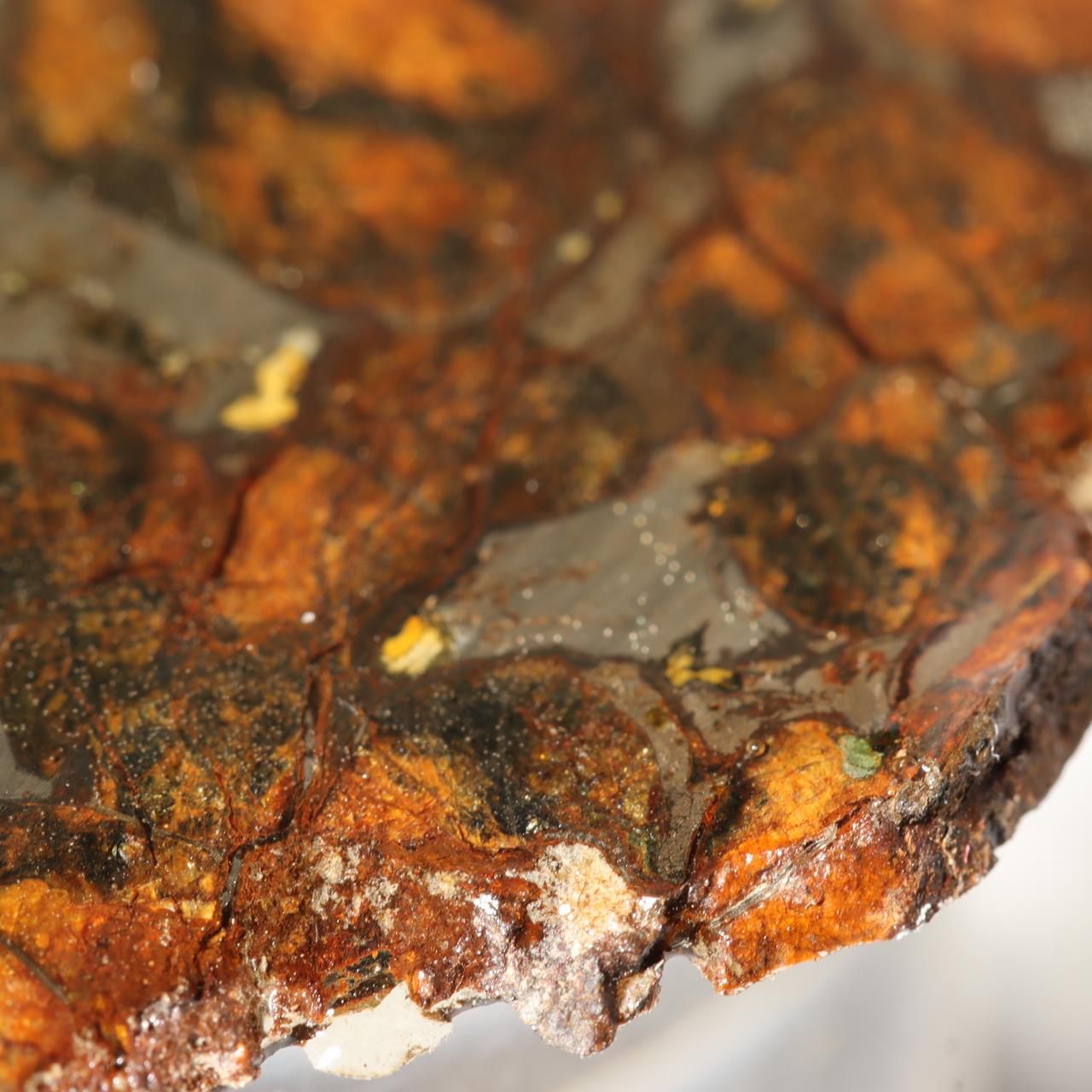 Kenya Sericho Pallasite Meteorite Slice Resin Coated Olivine Space Gem 7g SS2195