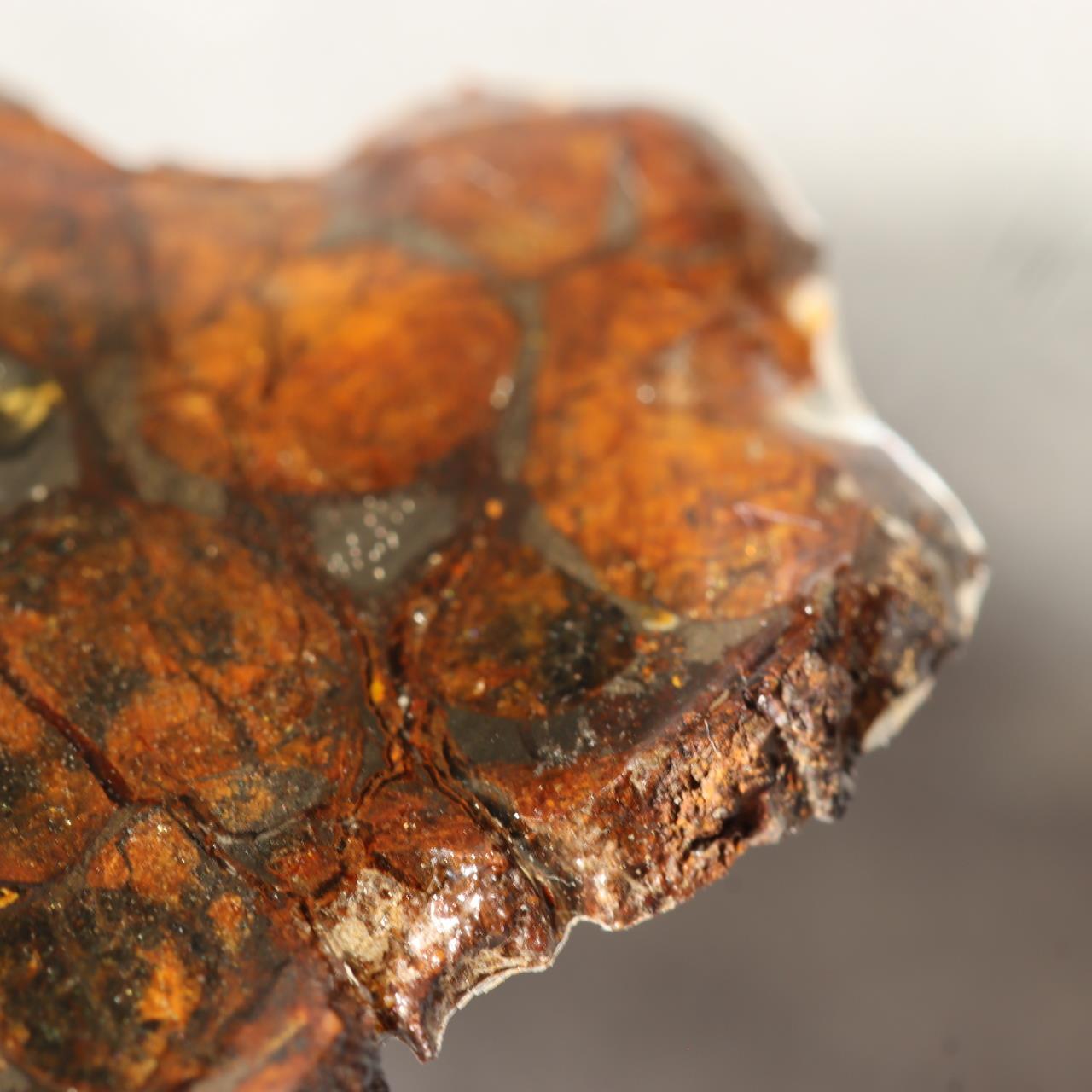 Kenya Sericho Pallasite Meteorite Slice Resin Coated Olivine Space Gem 7g SS2194