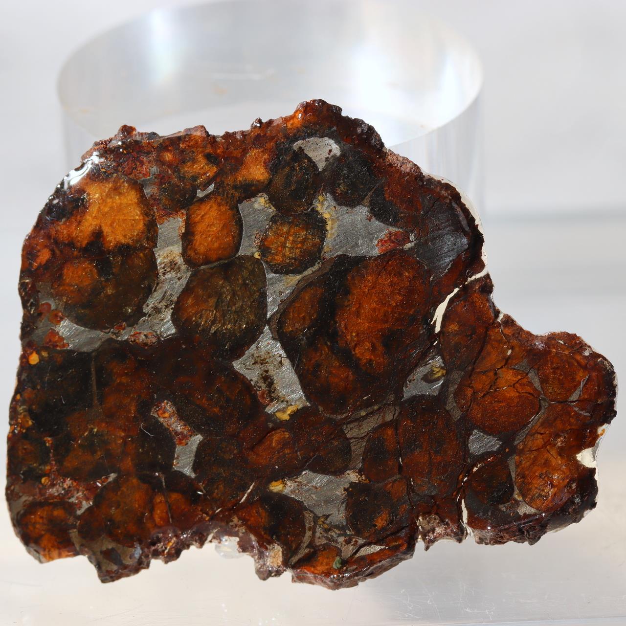 Kenya Sericho Pallasite Meteorite Slice Resin Coated Olivine Space Gem 7g SS2193