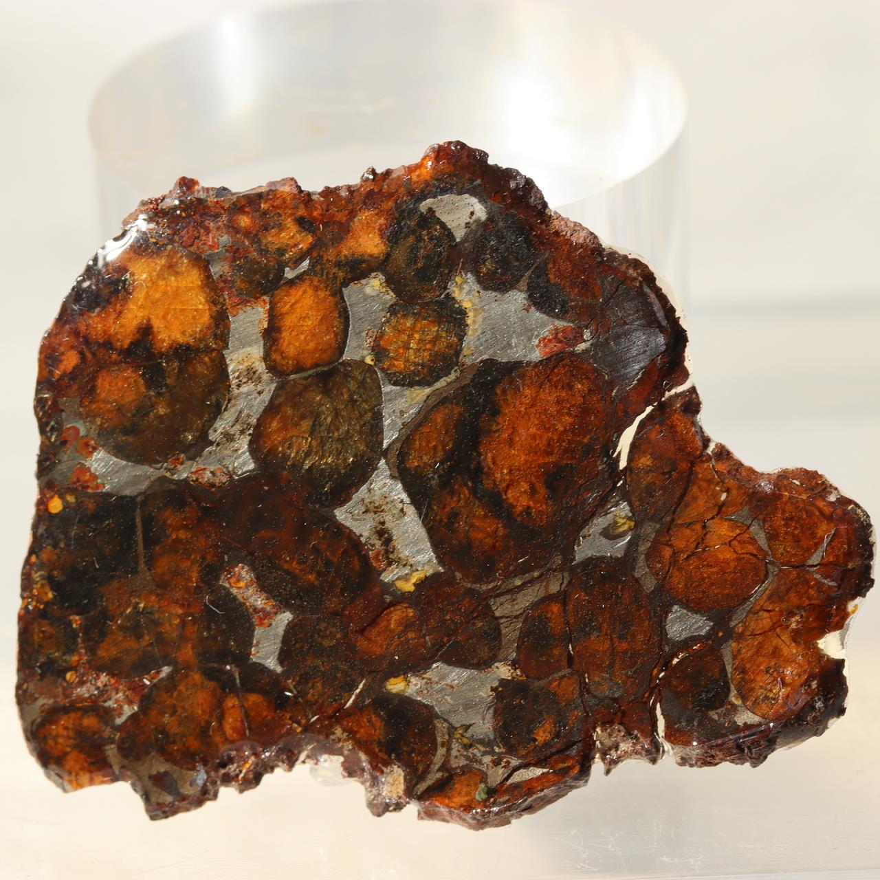 Kenya Sericho Pallasite Meteorite Slice Resin Coated Olivine Space Gem 7g SS2190