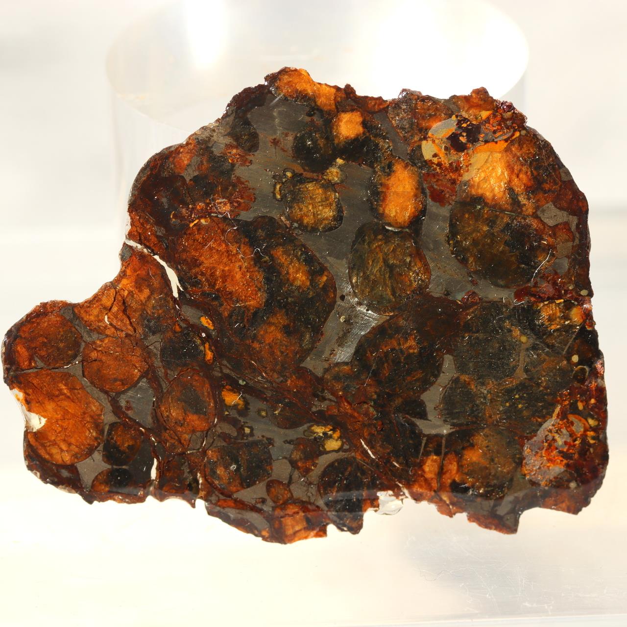 Kenya Sericho Pallasite Meteorite Slice Resin Coated Olivine Space Gem 7g SS2191