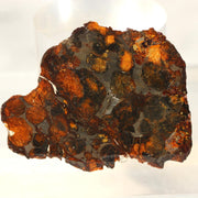 Kenya Sericho Pallasite Meteorite Slice Resin Coated Olivine Space Gem 7g SS2191
