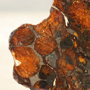 Kenya Sericho Pallasite Meteorite Slice Resin Coated Olivine Space Gem 7g SS21910
