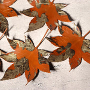 Japanese Vintage Copper Plate Saucer Set 5 Maple Leaf Momiji Signed Takaoka0
