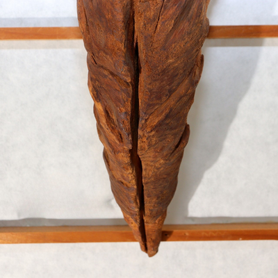 Japanese Rustic Natural Wood Root Hanging Flower Vase Kake-Hanairi 28cm WO56510