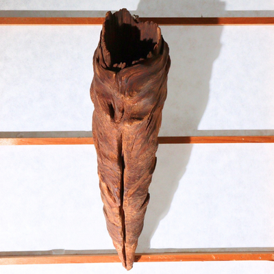 Japanese Rustic Natural Wood Root Hanging Flower Vase Kake-Hanairi 28cm WO5650