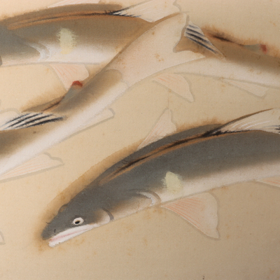 Japanese Silk Hanging Scroll Painting Ayu Sweetfish Seiko Tanoguchi Tomobako0