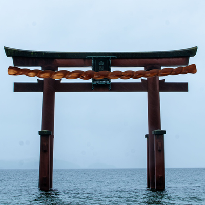 Japanese Antique Wooden Staff Shimenawa Spiral Twist Nyoi Buddhist Shinto 54cm2