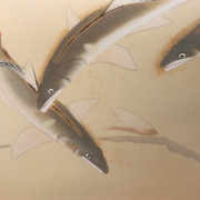 Japanese Silk Hanging Scroll Painting Ayu Sweetfish Seiko Tanoguchi Tomobako7