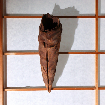 Japanese Rustic Natural Wood Root Hanging Flower Vase Kake-Hanairi 28cm WO5651