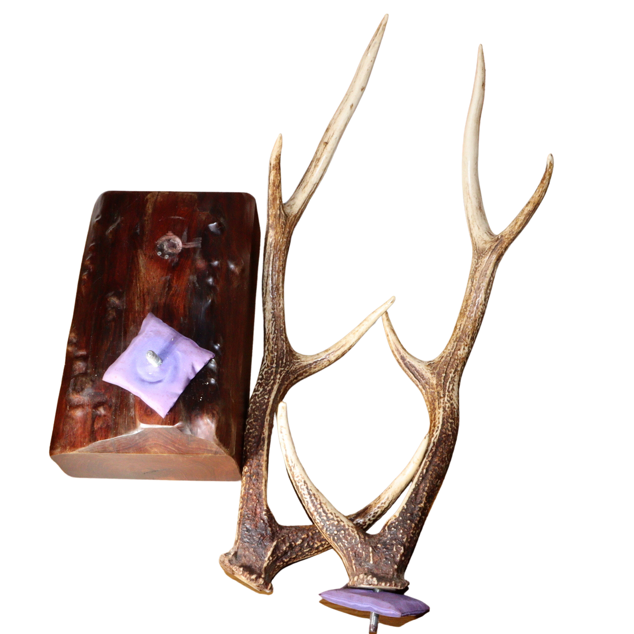 Japanese Samurai Katana Stand with Real Deer Antlers – Sturdy Keyaki Base SWR352