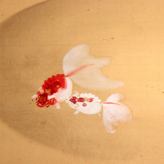 Japanese Kakejiku hanging scroll goldfish Emakimono Takakura Kangai ASO346