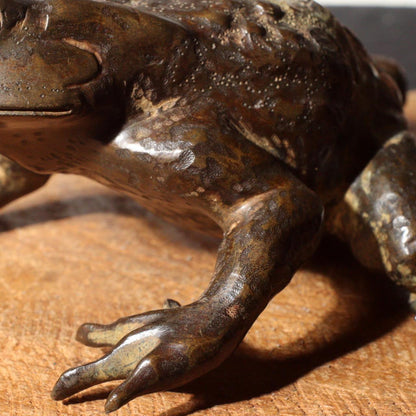 Antique Bronze Frog Gama sennin Nagoshi Family Ornament Japanese Toko-oki BOS819