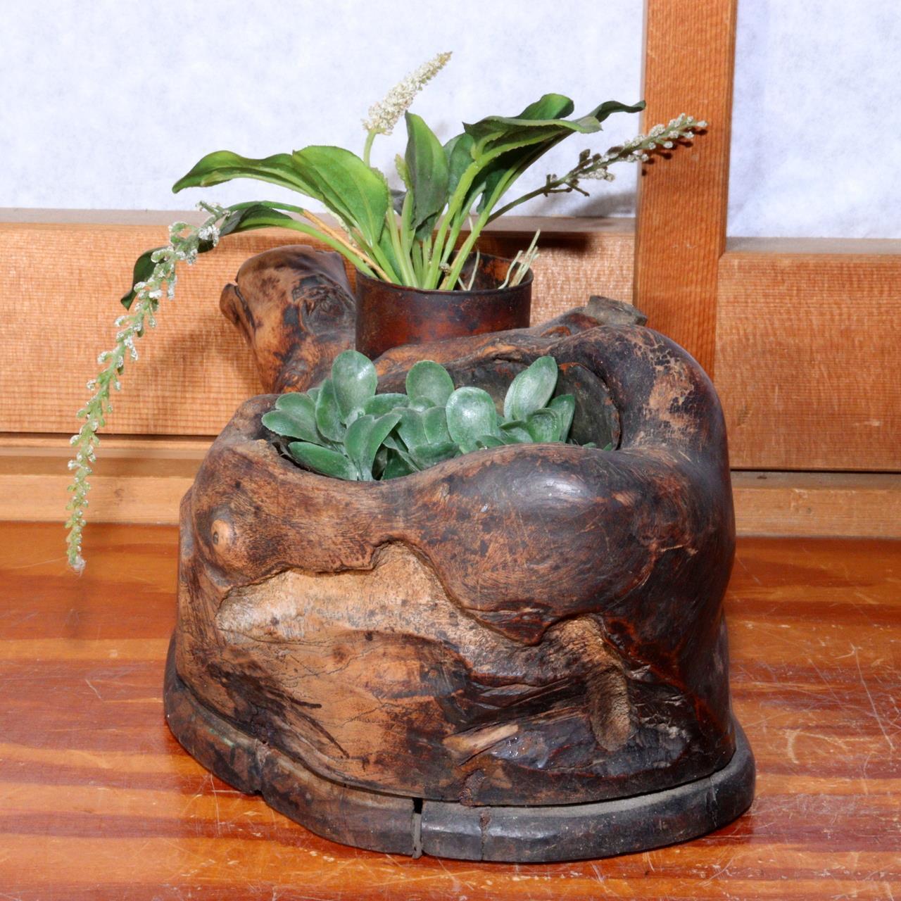 Japanese wooden Natural wood Tree roots vase Tobacco tray bon Ornament WO314