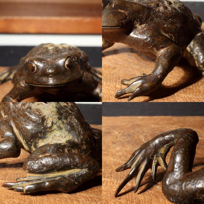 Antique Bronze Frog Gama sennin Nagoshi Family Ornament Japanese Toko-oki BOS819