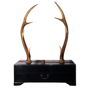 Japanese wooden Sword Rack Stand Deer antlers Kazuno Drawer Meiji era SWR348