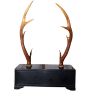 Japanese wooden Sword Rack Stand Deer antlers Kazuno Drawer Meiji era SWR348