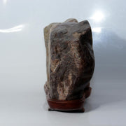 Japanese Natural Chrysanthemum Stone Kikuka-seki Neodani Gifu with Daiza SS2364